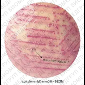Агар HiCrome для сальмонелл 500 г ФСЗ 2009/03705