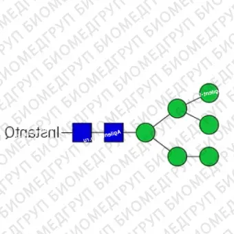 Nгликан AdvanceBio InstantQ Man6/M6 олигоманноза 6 ранее ProZyme. Nгликан, помеченный InstantQ, для использования в качестве качественного стандарта с системой анализа гликанов GlyQ