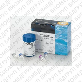 Набор Transcriptor High Fidelity cDNA Synthesis Kit для синтеза кДНК200 реакций