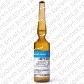 Пользовательский стандарт организации1X5ML