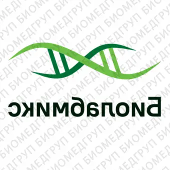 2Х смесь БиоМастер HSqPCR HiROX для проведения количественной ПЦР в реальном времени с красителем ROX400 реакций