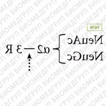 AdvanceBio Sialidase S, с меткой His ранее ProZyme