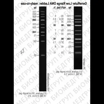 Маркер длин ДНК GeneRuler Low Range, 10 фрагментов от 25 до 700 п.н., готовый к применению, 0,1 мкг/мкл, Thermo FS, SM1193, 50 мкг