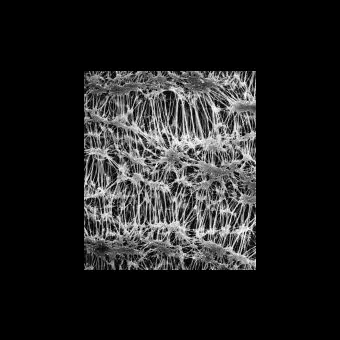 Фильтр, Флуоропор, d пор 0,5 мкм, d мембраны 90 мм, 50 шт., Merck Millipore, FHLP09050