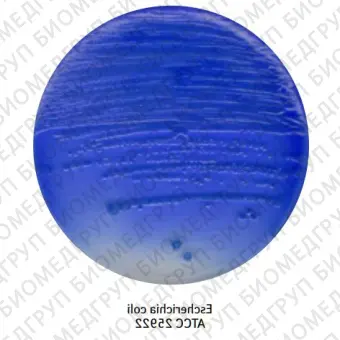 Агар лактозный с китайским синим, 500г ФСЗ 2009/03706