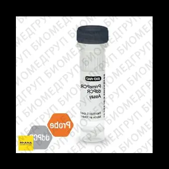 Набор KRAS CNV PrimePCR ddPCR, 200 реакций, BioRad, 1863303