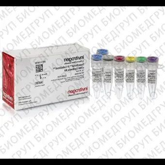 Набор для прямого синтеза кДНК SuperScript IV CellsDirect cDNA Synthesis Kit из лизата клеток млекопитающих без предварительного выделения РНК, Thermo FS, 11750350, 500 реакций