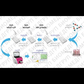 Панель для профилирования миРНК, Multiplex miRNA Assay Prostate Cancer Panel  Cellular, Abcam, ab204061, 96 тестов