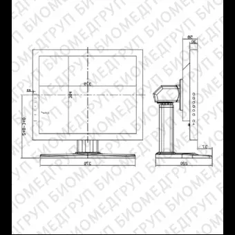 Монитор для эндоскопии INPMS19