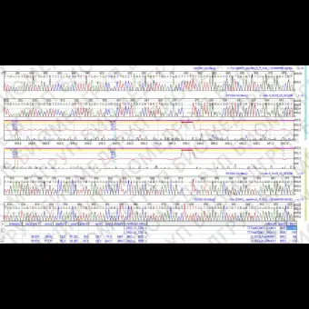 Программное обеспечение для последовательности оснований в ДНК Mutation Surveyor