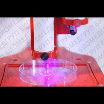 Биопринтер 3D с 2 печатающими головками, Allevi 2, Bioprinter, Allevi, Allevi2