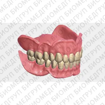 Exocad Full Denture Module  модуль для создания полносъемных протезов