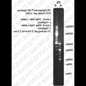 Реактив агарозный гель HyAgarose HR Agarose