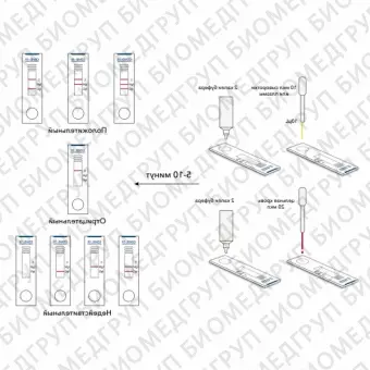 Coronavirus Disease 2019 Antibody IgM / IgG Экспресс тест для выявления антител к коронавирусу COVID 19