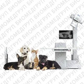Ветеринарная рентгенографическая система i72W