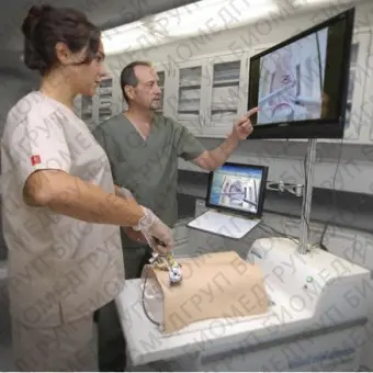Медицинский симулятор для хирургии MW16