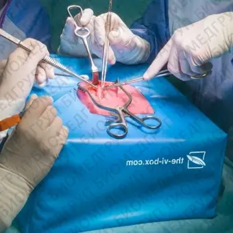 Медицинский симулятор для сосудистой хирургии VI Box