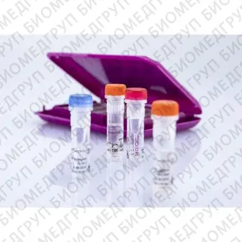 Набор реагентов virotype BTV pan/4 для обнаружения и типирования вируса Блютанга методом RealTime PCR96 реакций