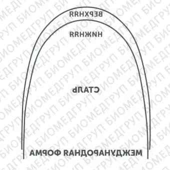 Дуги ортодонтические международная форма нижние INT NiTi TA L .014x/.025/.36x.64 OrthoClassic