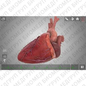 Медицинский симулятор для кардиологической хирургии HeartWorks AR