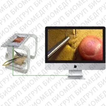 Медицинский симулятор для микрохирургии eoMicro