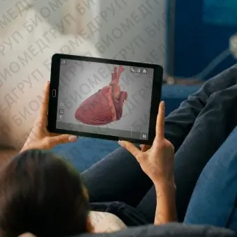 Медицинский симулятор для кардиологической хирургии HeartWorks AR