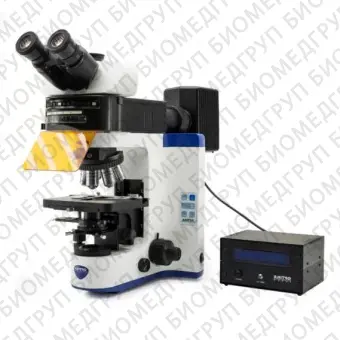 B700 Прямой микроскопсерии B700