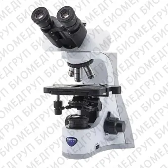 B 500 Прямой микроскоп