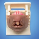 Медицинский симулятор для операции при расщелине губы PALATE