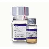 Набор StemPro Adipogenesis Differentiation Kit, для дифференцировки мезенхимальных стволовых клеток человека в адипоциты, Thermo FS, A1007001, 1 набор