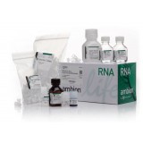 Набор RNAqueous-Micro Total RNA Isolation Kit, Thermo FS, AM1931, 50 выделений