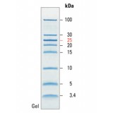 Маркеры молекулярной массы белков, неокрашенные, PageRuler, 3,4-100 кДа, для SDS-электрофореза и вестерн-блоттинга, Thermo FS, 26632, 2х250 мкл