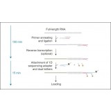 Набор для прямого секвенирования РНК, Direct RNA Sequencing Kit, Oxford Nanopore Technologies, SQK-RNA002