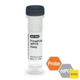 Набор PIK3CA E545K мутация PrimePCR ddPCR, 200 реакций, Bio-Rad, 1863132