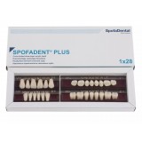 Spofadent Plus (С1) 1/17-0/6-77N