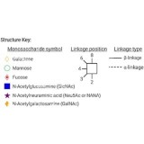 Стандарт N-гликанов AdvanceBio InstantPC G2F / FA2G2 (ранее ProZyme)