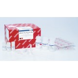 Набор RNeasy Plus Mini Kit для выделения тотальной РНК(250 реакций)