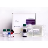 Набор реагентов SVANOVIR® O. ostertagi-Ab для обнаружения антител к нематодам КРС методом ИФА(2 планшета)