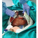 Медицинский симулятор для кардиологической хирургии PerfusionSim™